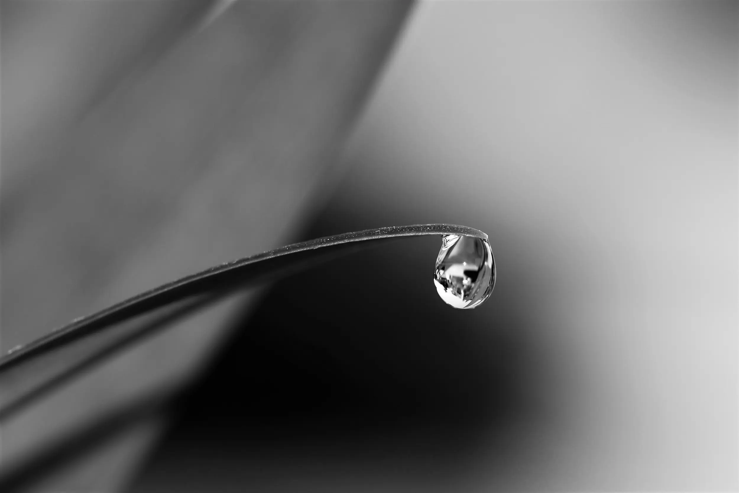 VVS installatør monterer vandhane